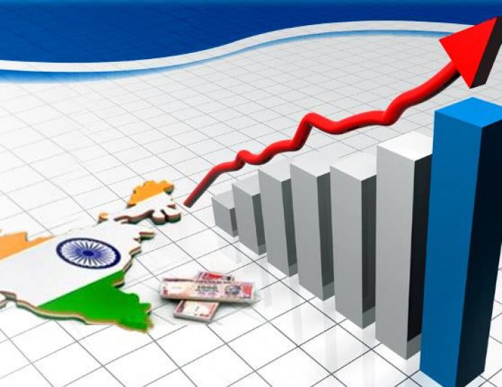 Indian economy no longer dependent on the oxygen of govt support