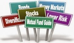 Individual’s Rules for investing in mutual funds
