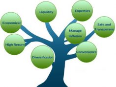 Types of Mutual funds (By Investment objective)