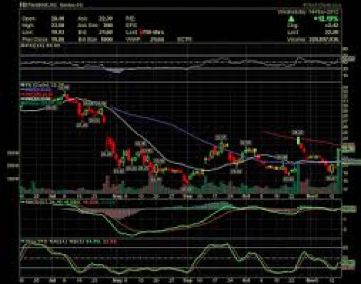 Stocks to watch –  Nov 15